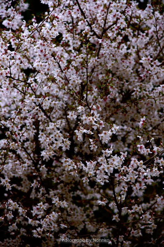 c0106977_22294064.jpg