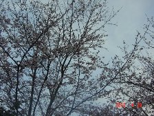 c0057781_21341912.jpg