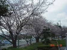 c0057781_2134384.jpg