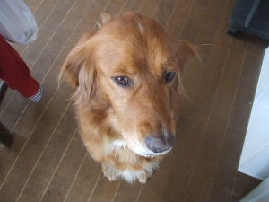 f0005081_17225542.jpg