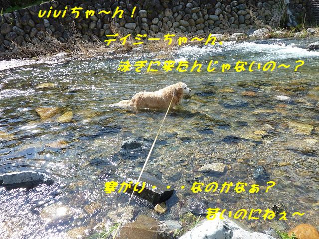a0034382_14473732.jpg