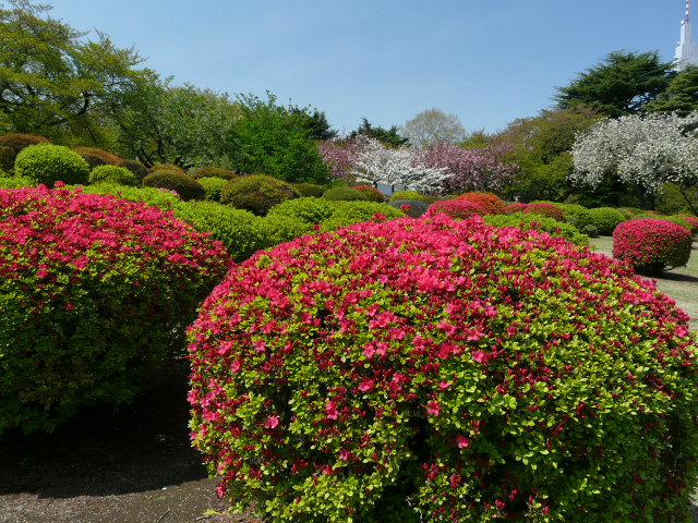 e0145782_1821531.jpg