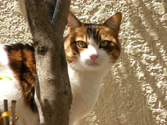 c0214384_7405320.jpg
