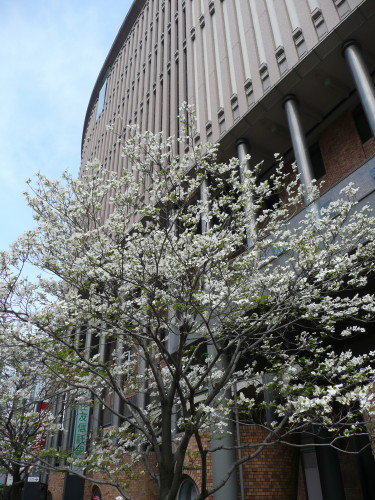 b0118987_757613.jpg