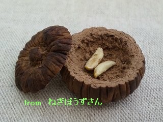 b0185290_15415872.jpg