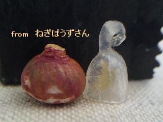 b0185290_1665536.jpg
