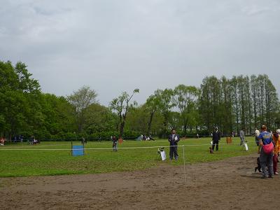 c0123890_20243555.jpg