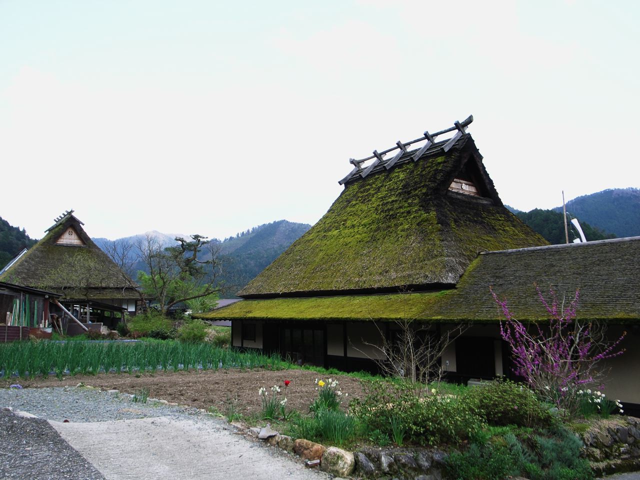 c0190391_22554969.jpg