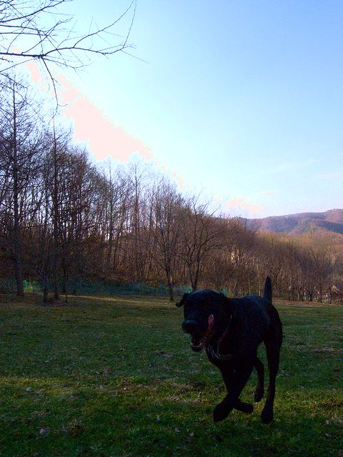 a0093592_23544272.jpg
