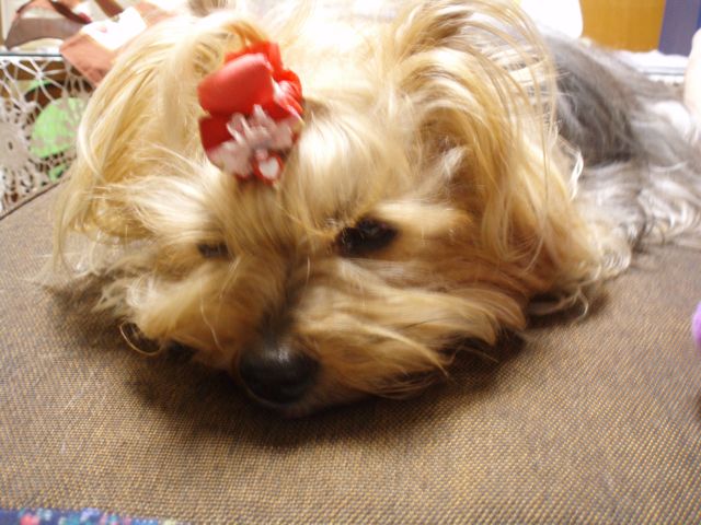 f0130894_22541250.jpg