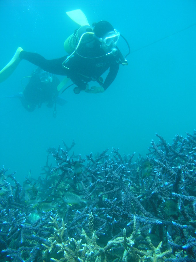 a0100798_14382518.jpg