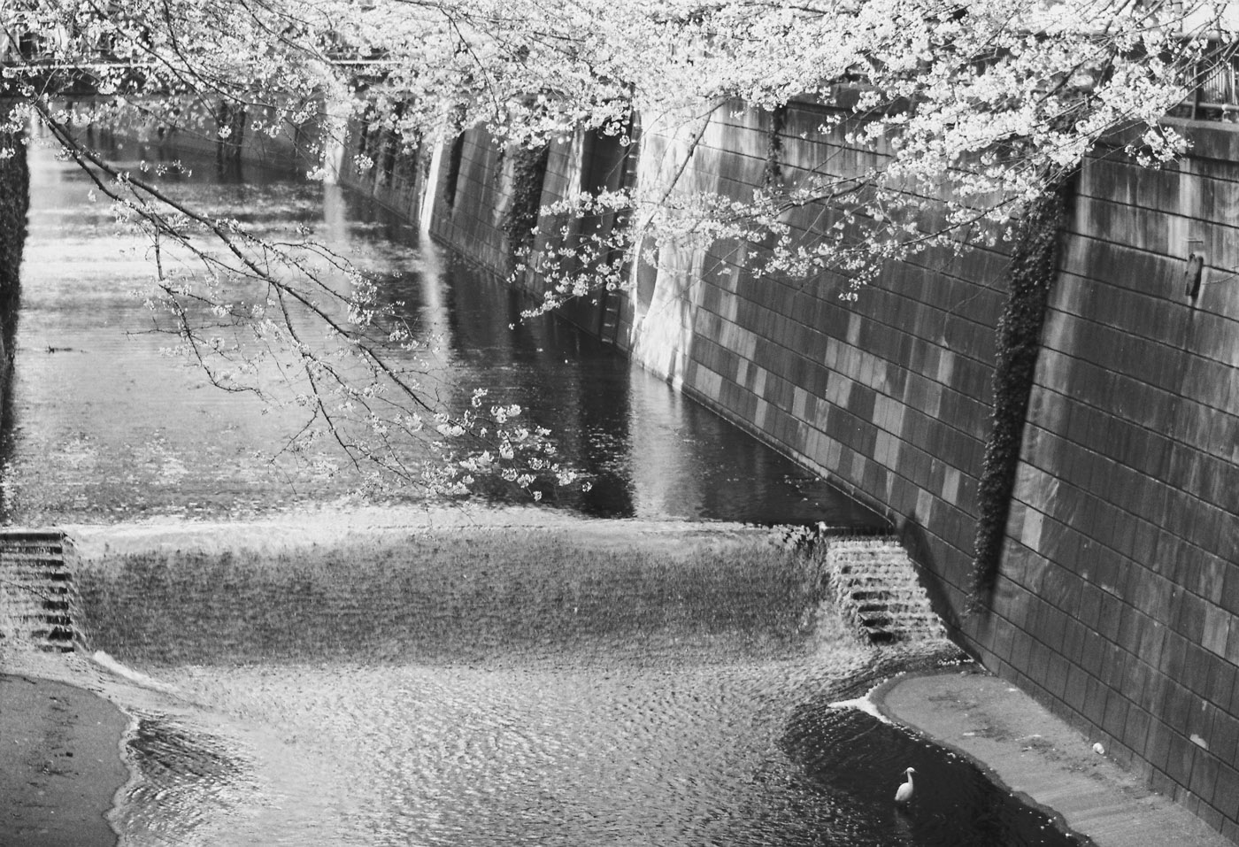 c0120903_3104856.jpg