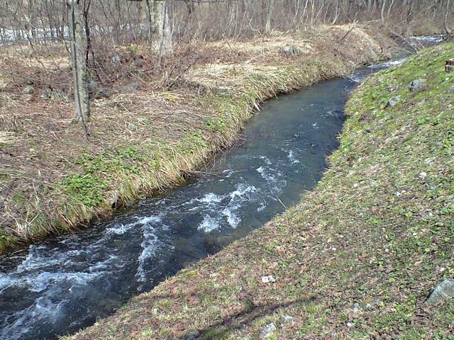 b0076307_10425915.jpg