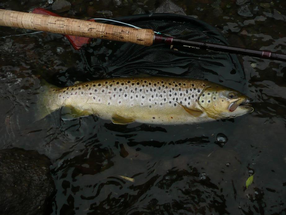d0126708_7465492.jpg