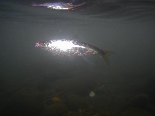 e0123808_0143837.jpg