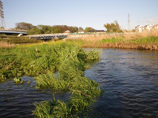 e0123808_09629.jpg