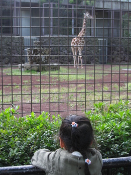 a0149809_2213485.jpg
