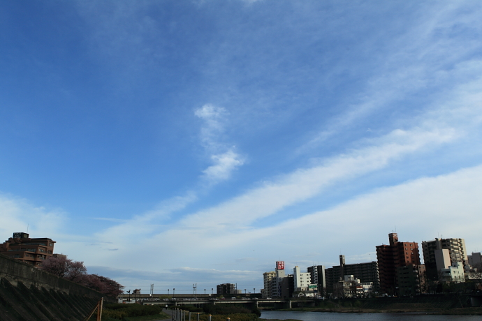 e0121814_1204818.jpg