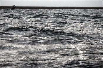 f0166919_1949349.jpg