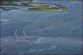 f0166919_19503274.jpg