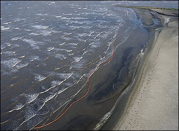 f0166919_19513247.jpg