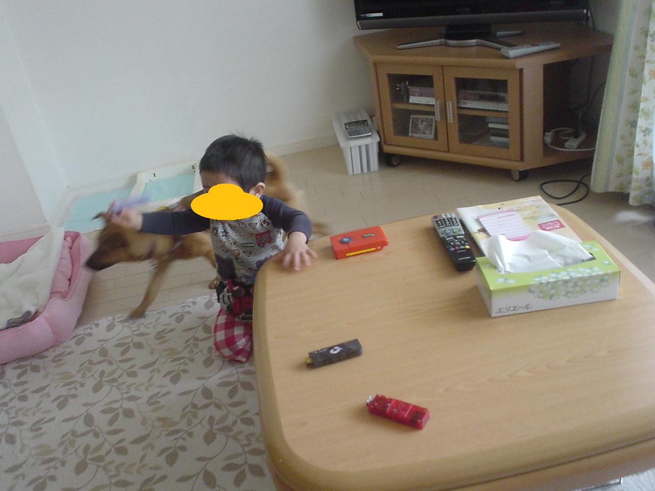 c0150520_23281676.jpg