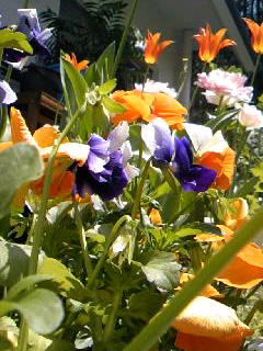 d0024220_11493614.jpg