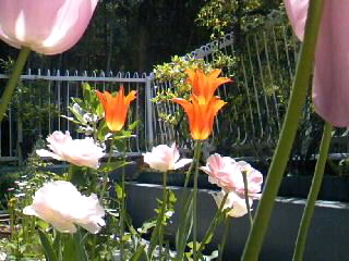 d0024220_1149365.jpg