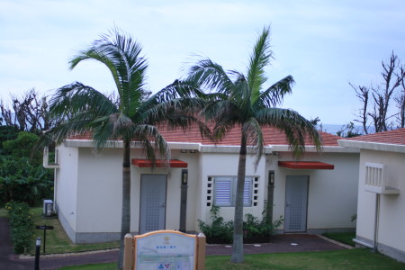 f0097620_13367.jpg