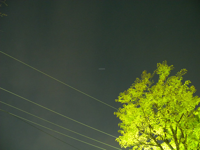 e0089232_2214369.jpg