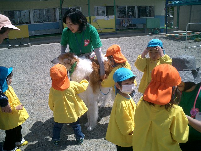 c0114833_2339932.jpg