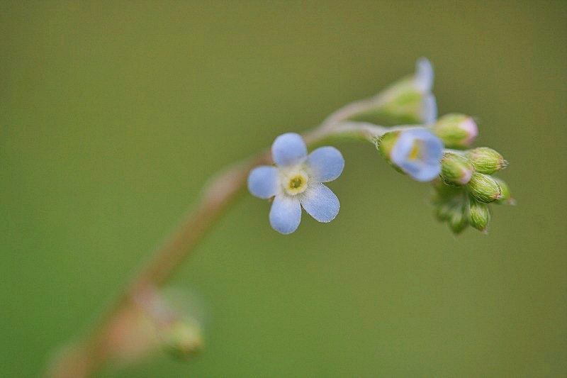 e0052135_2212155.jpg