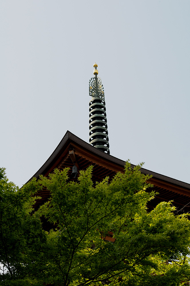 c0221838_18402463.jpg