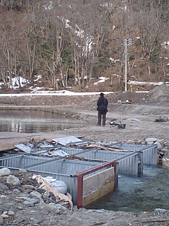 f0065341_1645155.jpg