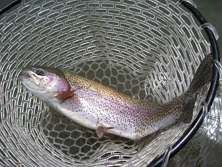 f0065341_16461950.jpg