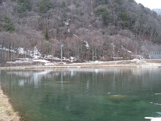 f0065341_17292533.jpg