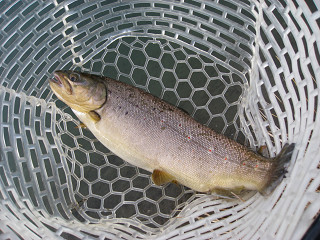 f0065341_17333387.jpg