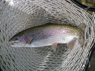 f0065341_1733566.jpg