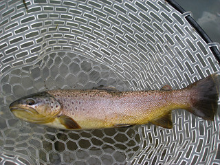 f0065341_17894.jpg