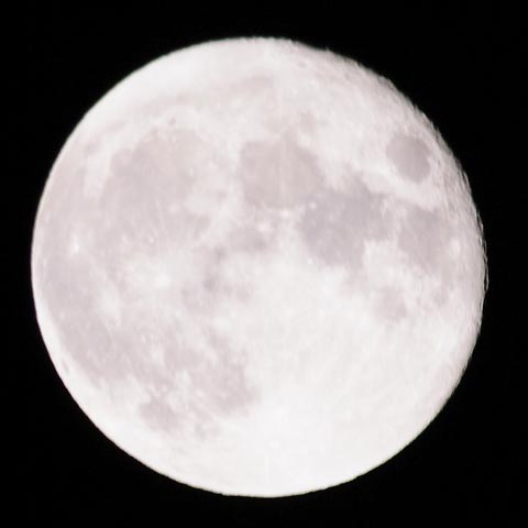 e0168342_0331525.jpg