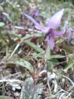 c0059543_2032255.jpg