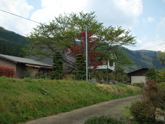 c0072843_18365753.jpg