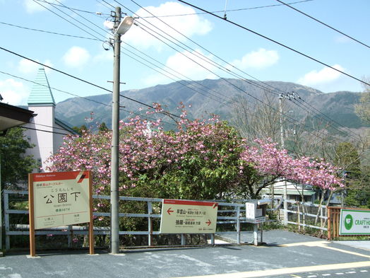 e0185243_2002449.jpg