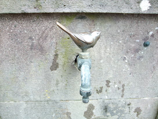 e0185243_218576.jpg