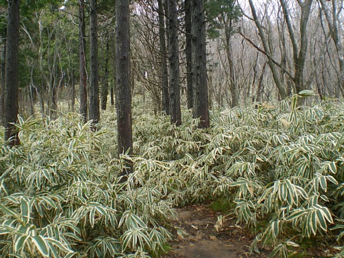 c0042847_22474138.jpg