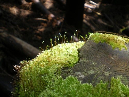 c0042847_22541266.jpg