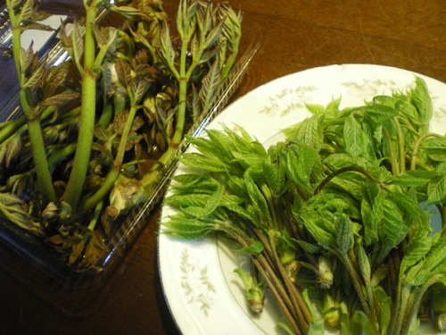 c0042847_232671.jpg