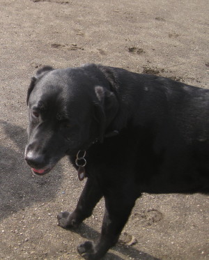 e0121548_22302172.jpg