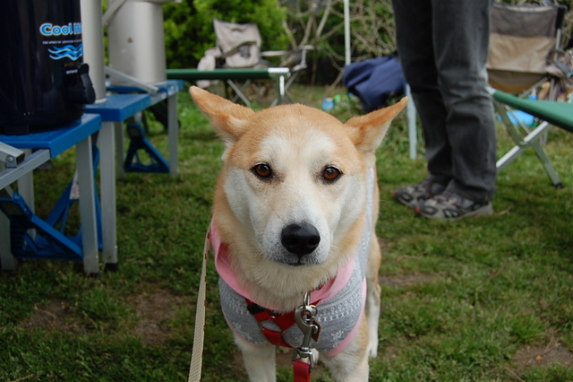 b0072650_1485100.jpg