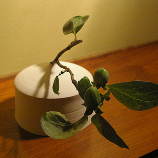 f0173150_11452723.jpg
